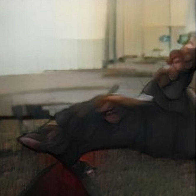 the same AI generated caption: A young girl is holding a teddy bear.